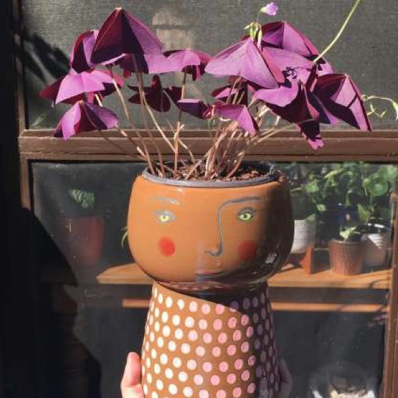 Opalhouse Stoneware Family Planter Pot - Picture 16 of 16